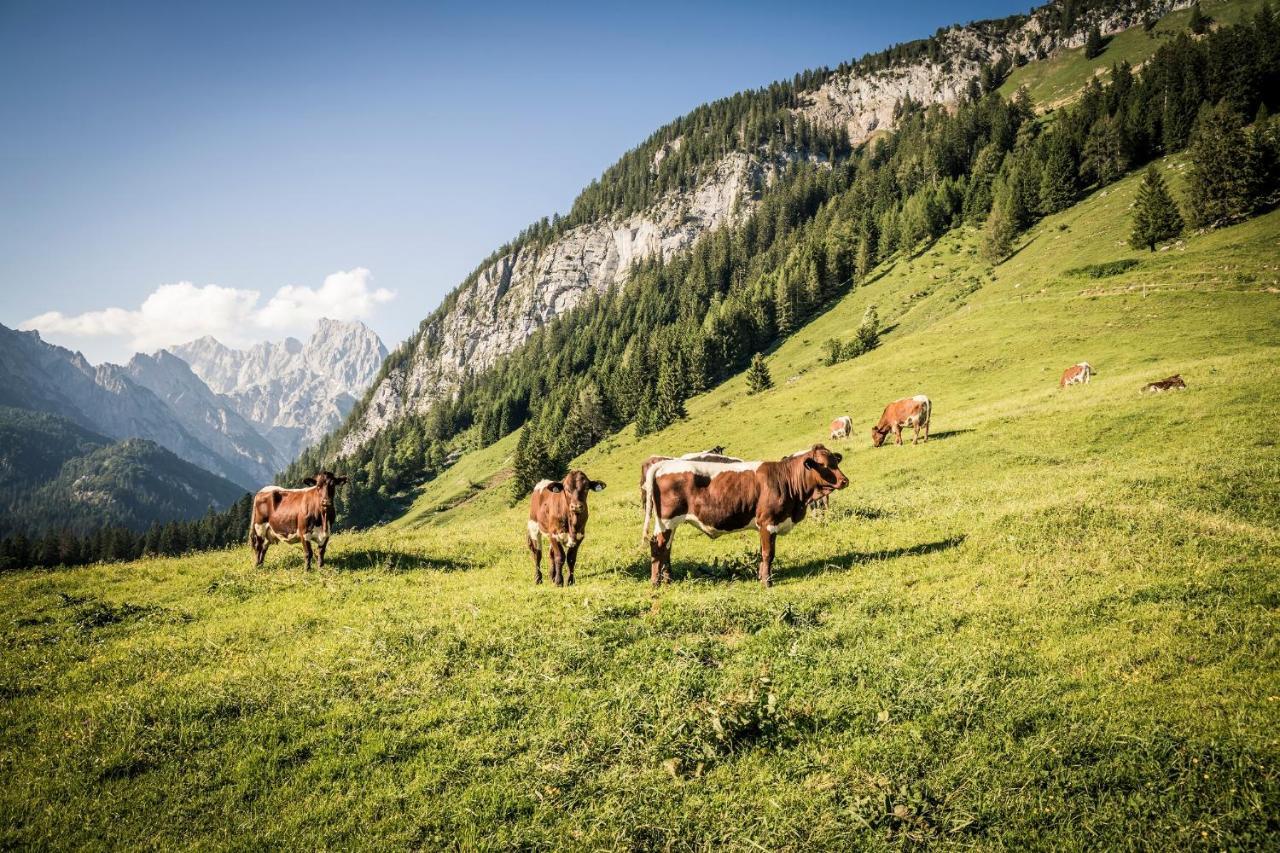 Ferienwohnung Waldblick - Freundlich Eingerichtete Ferienwohnung Berchtesgaden Zewnętrze zdjęcie